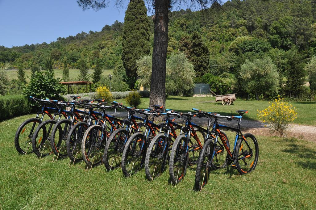 Agriturismo Eco-Bio Belmonte Vacanze Montaione Luaran gambar