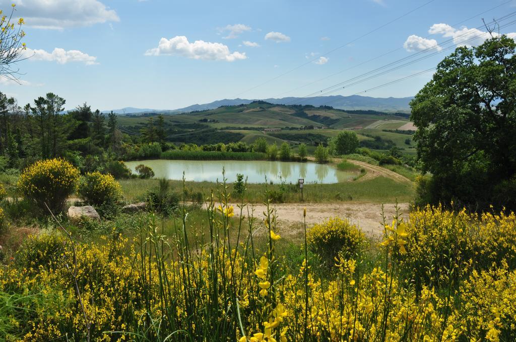 Agriturismo Eco-Bio Belmonte Vacanze Montaione Luaran gambar