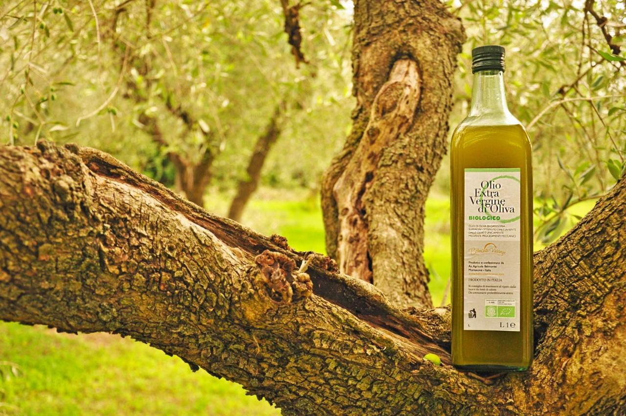 Agriturismo Eco-Bio Belmonte Vacanze Montaione Luaran gambar
